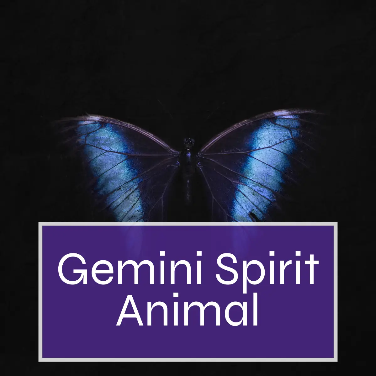 Gemini Spirit Animal