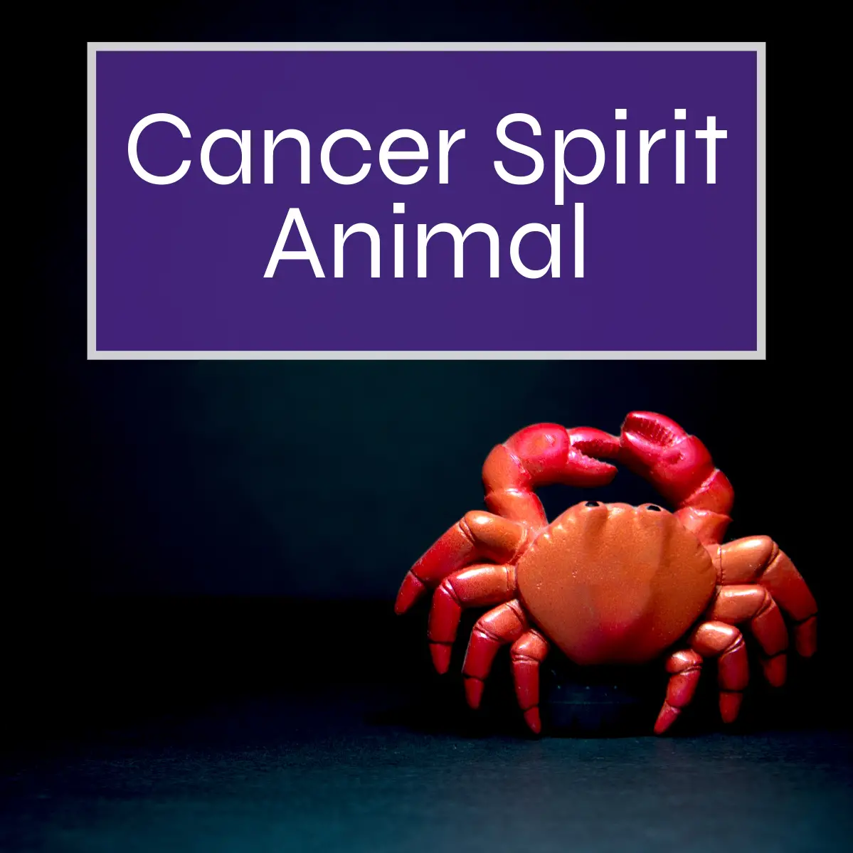Cancer Spirit Animal
