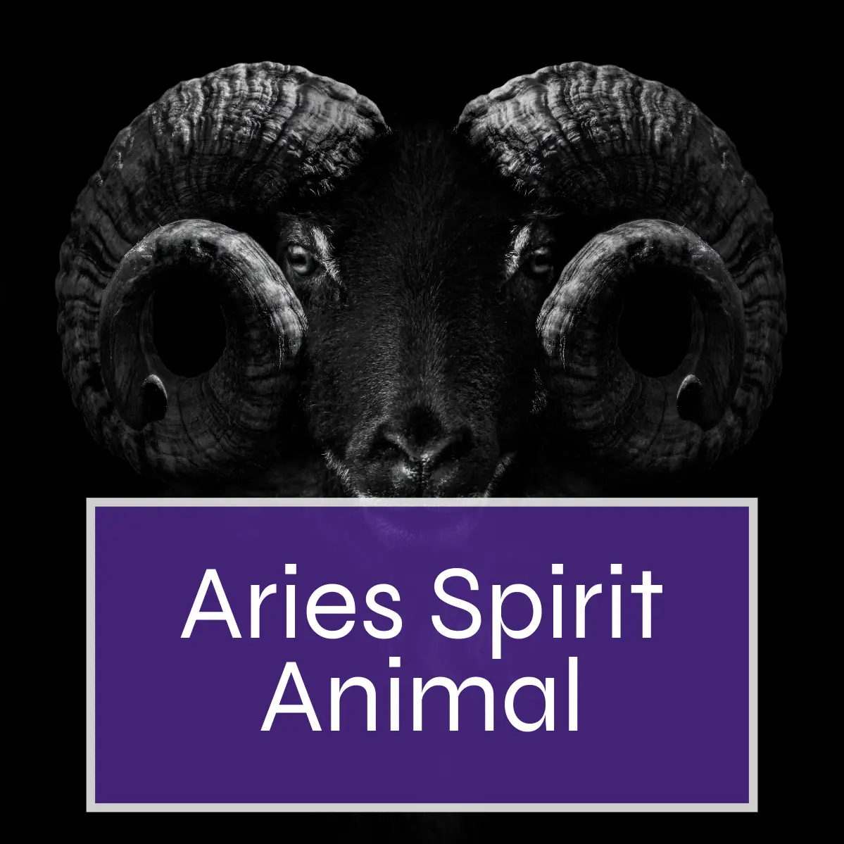 Aries Spirit Animal