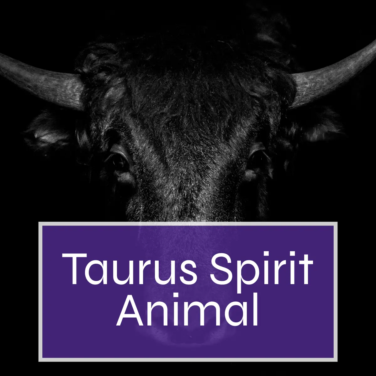 Taurus Spirit Animal